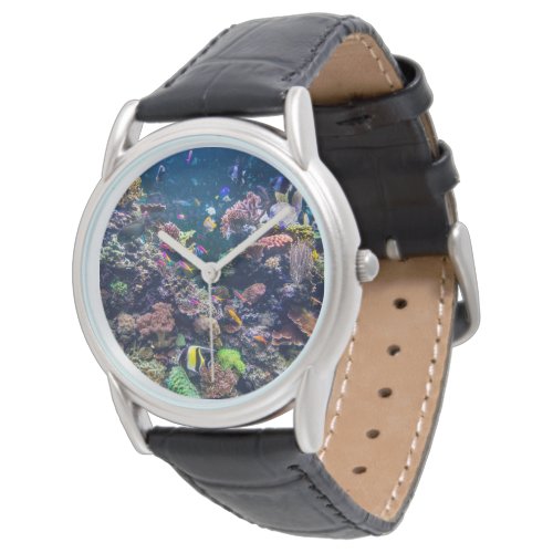 Tropical Beaches  Underwater Coral Reef Watch