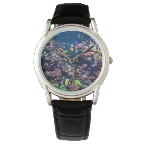 Tropical Beaches  Underwater Coral Reef Watch