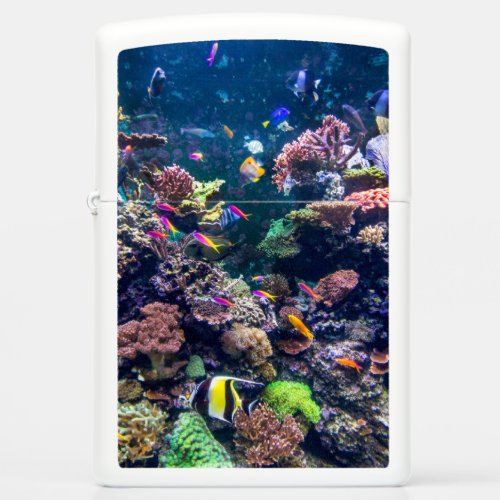 Tropical Beaches  Underwater Coral Reef Zippo Lighter