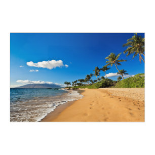 Tropical Beaches   Wailea, Maui, Hawaii Acrylic Print