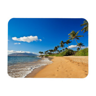 Tropical Beaches Wailea, Maui, Hawaii Magnet
