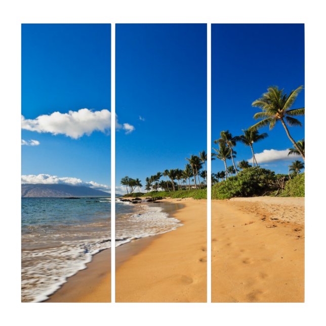 Tropical Beaches | Wailea, Maui, Hawaii Triptych (Front)