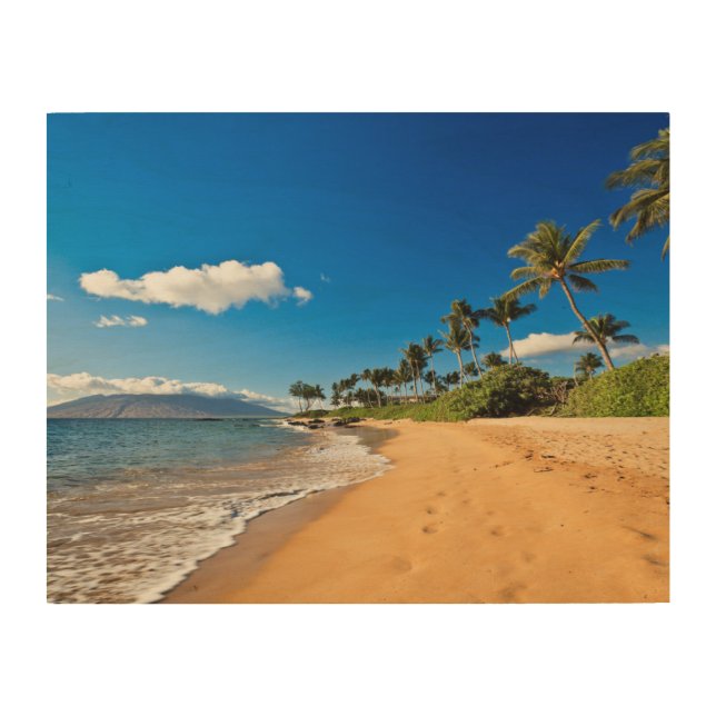 Tropical Beaches | Wailea, Maui, Hawaii Wood Wall Art (Front)