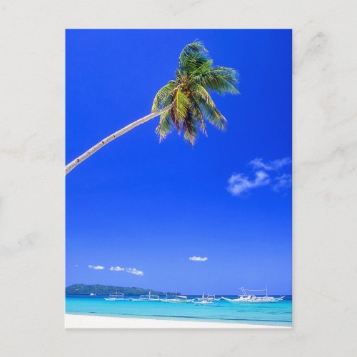 Tropical Beaches  White Beach Phillipines Postcard