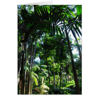 Tropical Beauty Cards