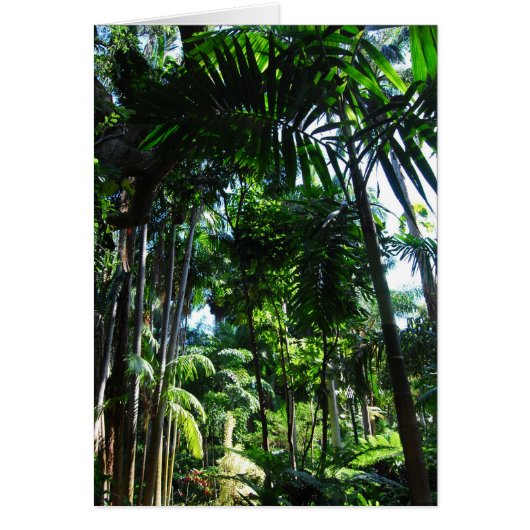 Tropical Beauty Cards (Front)
