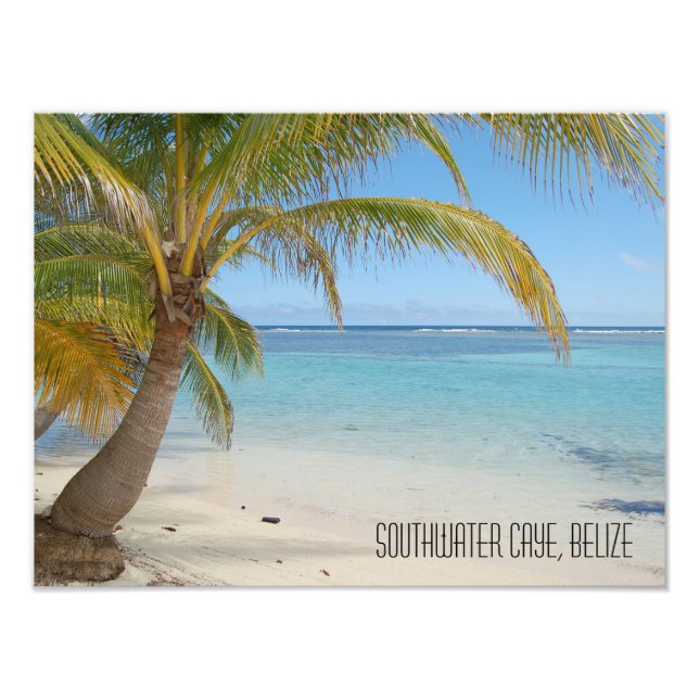 Tropical Belize Beach Caribbean Island Seascape Photo Print (Front)