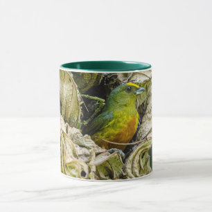  Tropical Bird Art Olive-Backed Euphonia Mug