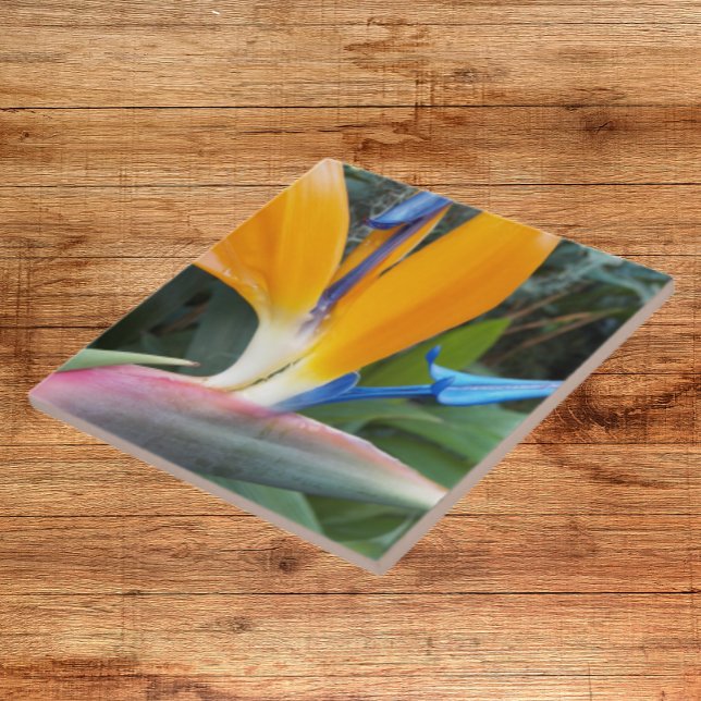 Tropical Bird of Paradise Bloom Floral Ceramic Tile (In Situ)