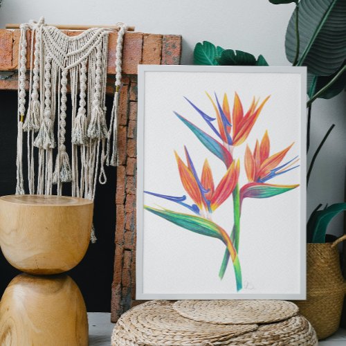 Tropical Bird Of Paradise Drawing Poster