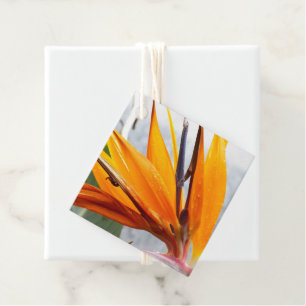 Tropical Bird of Paradise Floral Wedding Favor Tags