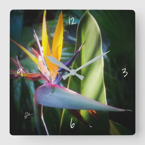 Tropical Bird of Paradise Flower Floral Fine Art Square Wall Clock