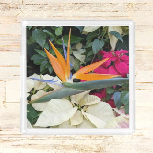 Tropical Bird of Paradise Plant and Poinsettias Acrylic Tray