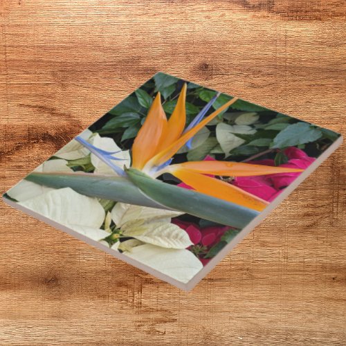 Tropical Bird of Paradise Plant and Poinsettias Ceramic Tile