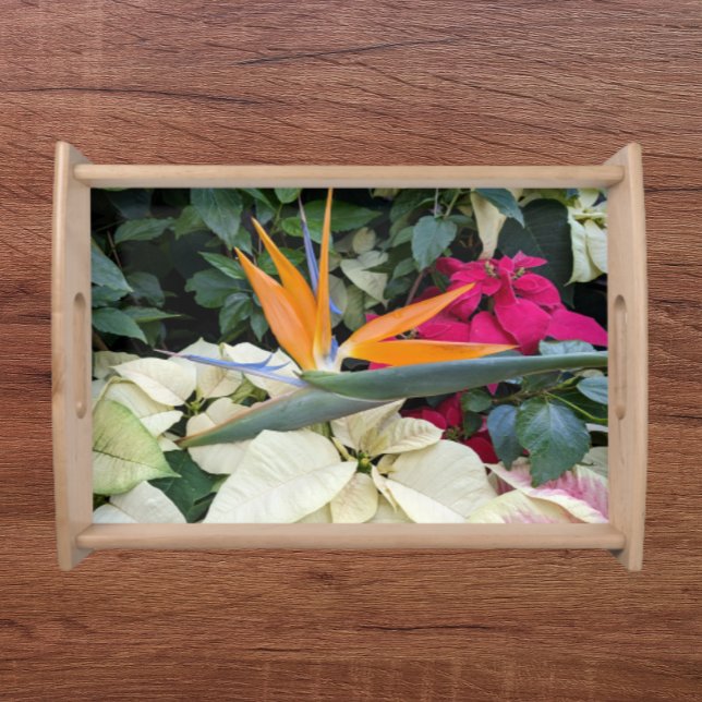 Tropical Bird of Paradise Plant and Poinsettias Serving Tray (In Situ)