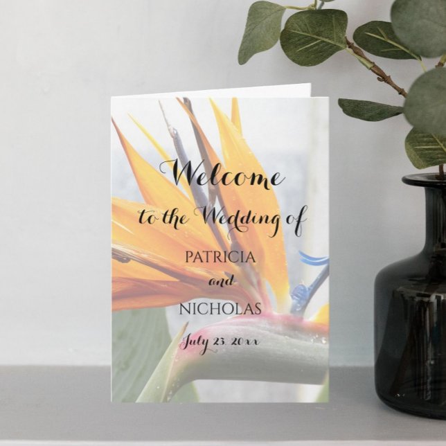 Tropical Bird of Paradise Plant Bloom Wedding Program (In Situ)