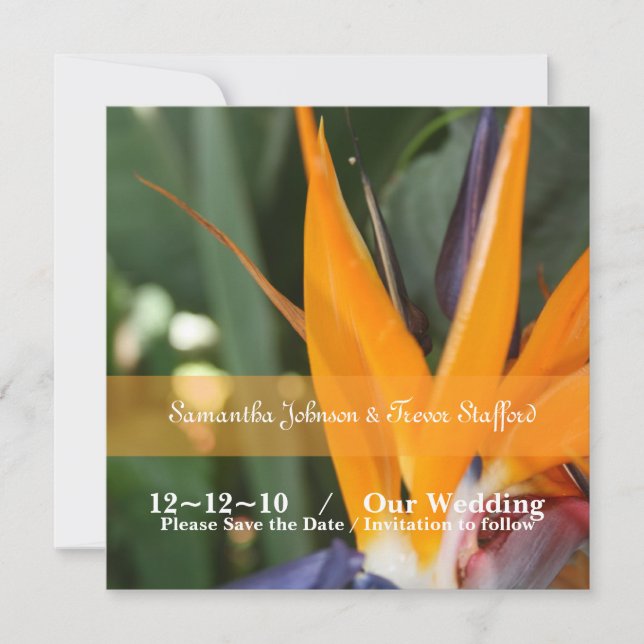 Tropical Bird of Paradise Wedding Announcements (Front)