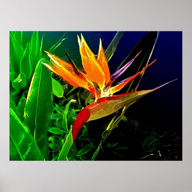 Tropical Bird Poster (Front)