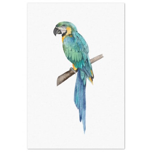 Tropical Bird Series  Blue Macaw Tissue Paper