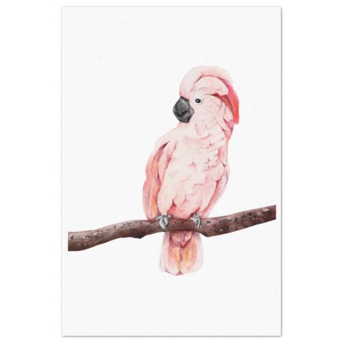 Tropical Bird Series  Cockatoo Tissue Paper