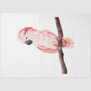 Tropical Bird Series : Cockatoo Tissue Paper