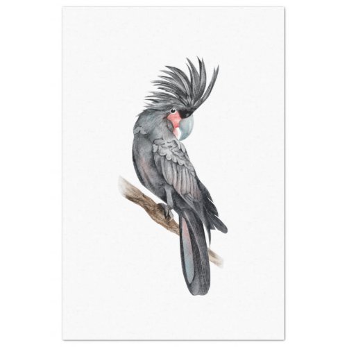 Tropical Bird Series  Palm Parrot Tissue Paper