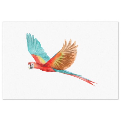 Tropical Bird Series  Scarlet Macaw Tissue Paper