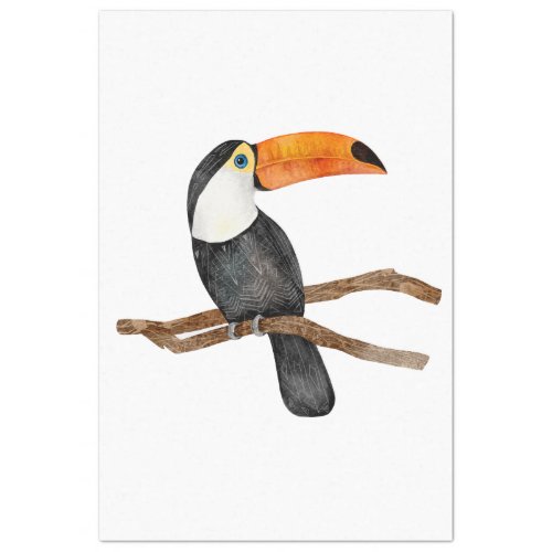 Tropical Bird Series  Toucan Tissue Paper