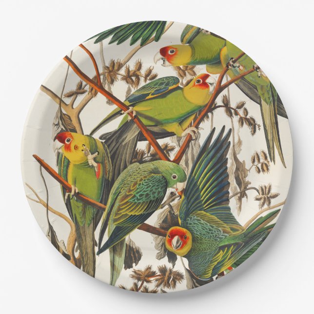 Tropical bird unique paper plates (Front)