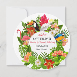Tropical Birds and Flowers Announcement