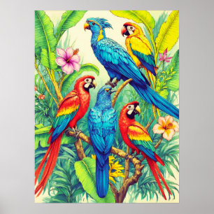 Tropical Birds Botanical Illustration Poster
