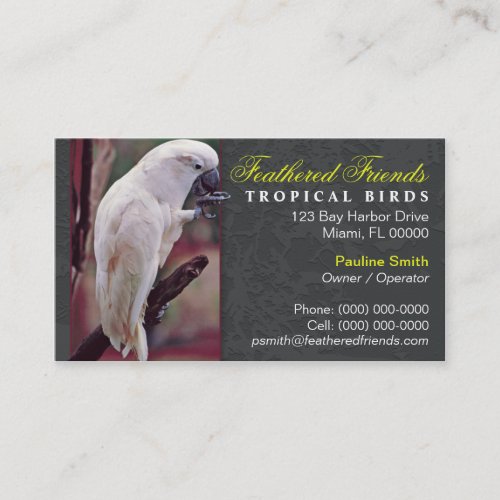 Tropical Birds Business Card
