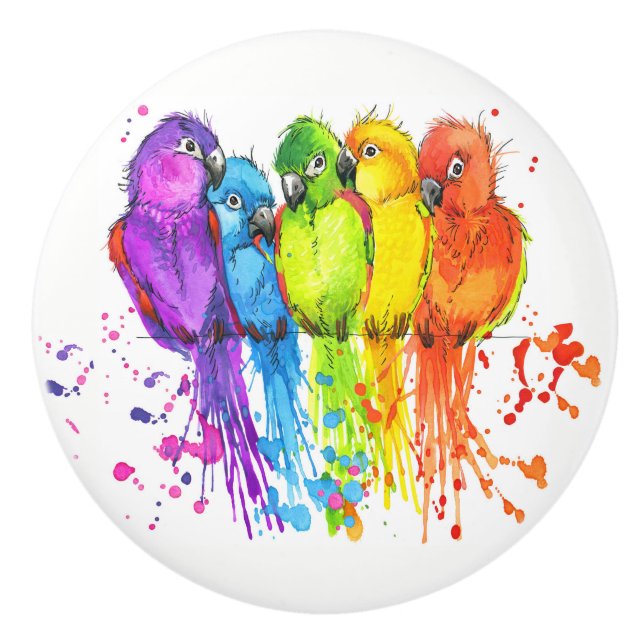 Tropical Birds Ceramic Knobs (Front)