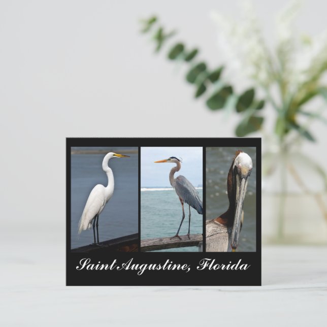 Tropical birds Holiday Postcard (Standing Front)