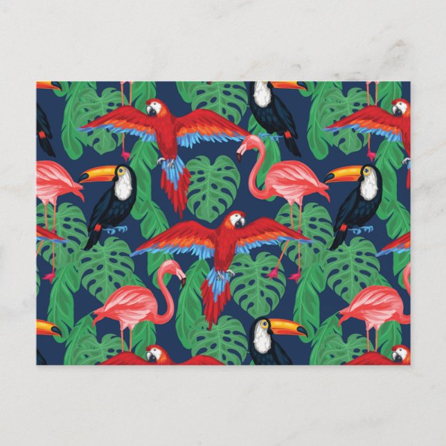 Tropical Birds In Bright Colors Postcard (Front)