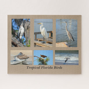 Tropical Birds of Florida Jigsaw Puzzle