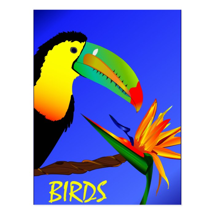 Tropical Birds Postcard