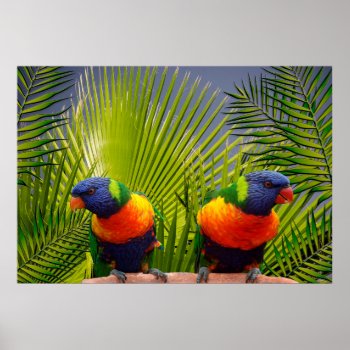 Tropical Birds Poster by usadesignstore at Zazzle