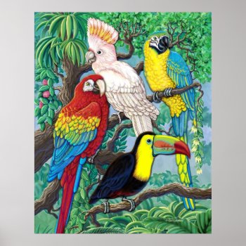 Tropical Birds Poster by gailgastfield at Zazzle