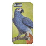 Tropical Birds Vintage Parrot Illustration Barely There Iphone 6 Case at Zazzle