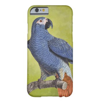 Tropical Birds Vintage Parrot Illustration Barely There Iphone 6 Case by encore_arts at Zazzle