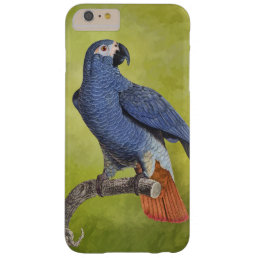 Tropical Birds Vintage Parrot Illustration Barely There iPhone 6 Plus Case