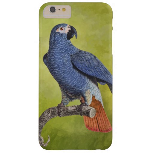 Tropical Birds Vintage Parrot Illustration Barely There iPhone 6 Plus Case