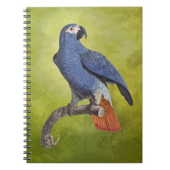 Tropical Birds Vintage Parrot Illustration Notebook by encore_arts at Zazzle