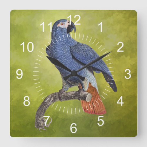 Tropical Birds Vintage Parrot Illustration Square Wall Clock