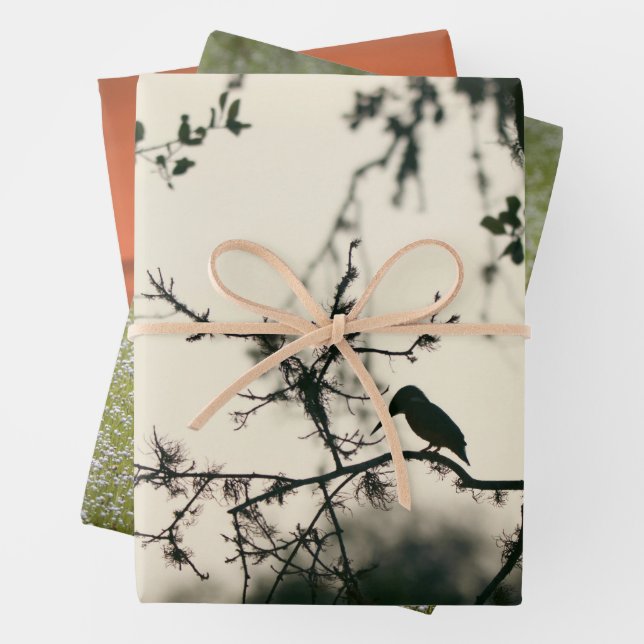 Tropical Birds Wrapping Paper Sheets (In situ)