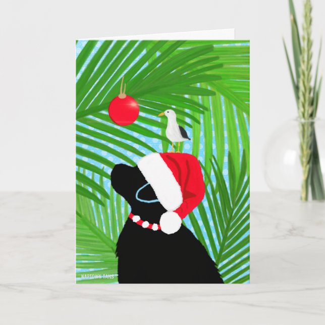 Tropical Black Lab Santa Seagull Christmas Card (Front)