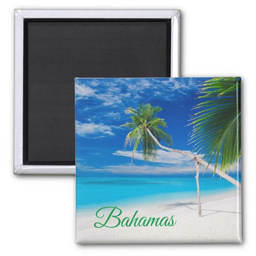 Tropical Blue Exotic Bahamas Beach Palms Magnet
