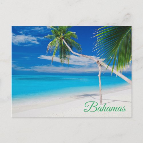 Tropical Blue Exotic Bahamas Beach Palms Postcard