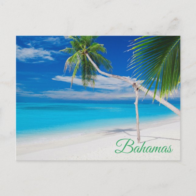 Tropical Blue Exotic Bahamas Beach Palms Postcard (Front)